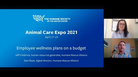 Employee wellness plans on a budget