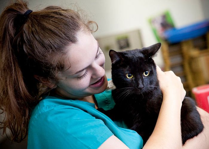 Woman holding a black cat